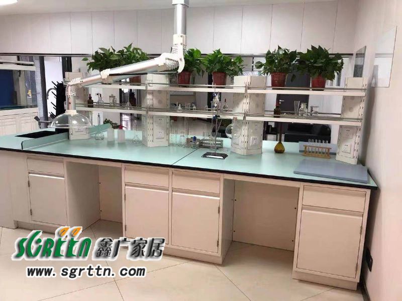 化驗室pp操作臺，實驗臺鋼木化學試驗桌，工作臺學校通風柜，全鋼試驗臺