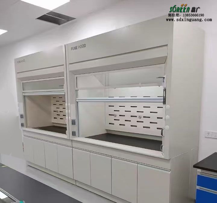 山東全鋼通風柜PP通風櫥柜鋼木通風柜落地排風柜