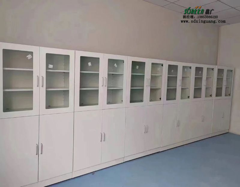 山東實(shí)驗(yàn)室設(shè)備實(shí)驗(yàn)室全鋼試劑柜器皿柜存放柜