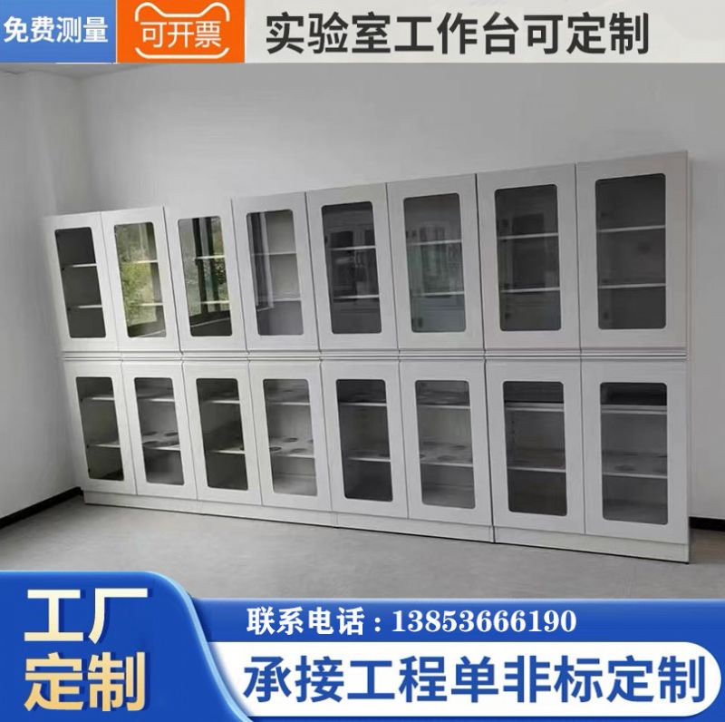 濰坊實(shí)驗(yàn)臺(tái)廠家 實(shí)驗(yàn)室化學(xué)試劑柜 樣品化驗(yàn)室儀器柜